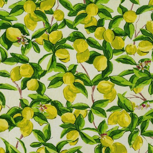 Sorrento Fabric