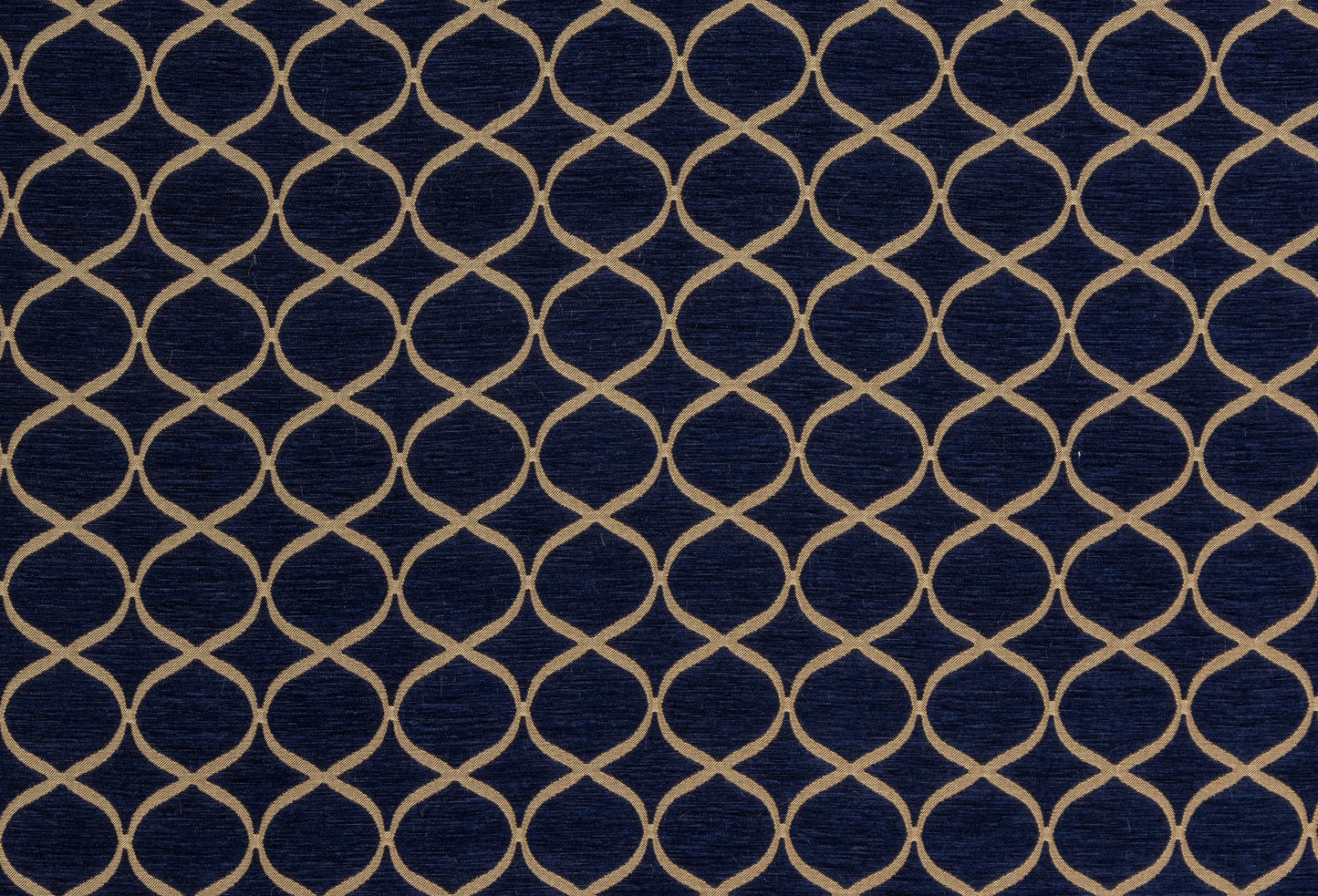 Trellis Fabric