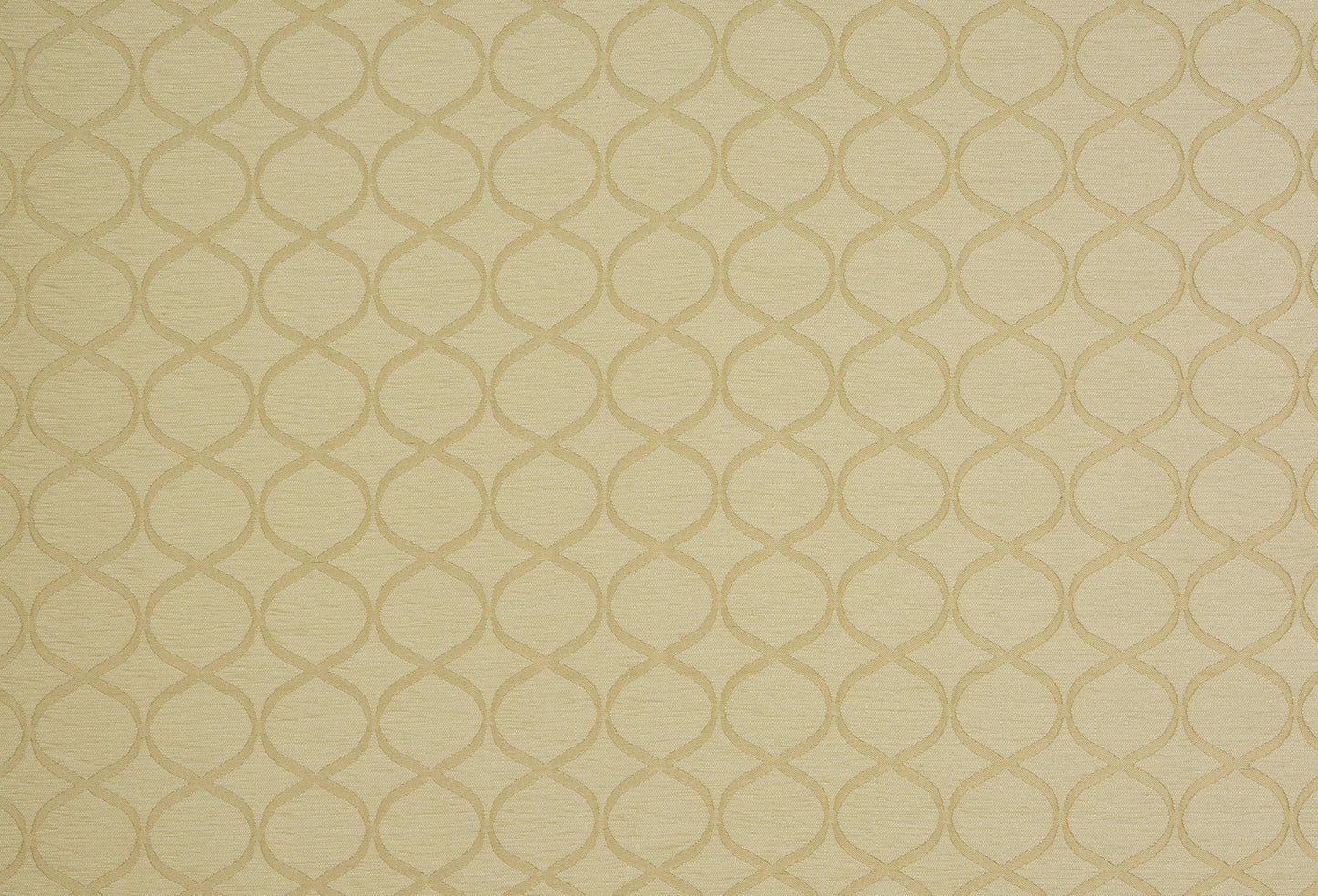 Trellis Fabric